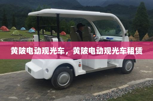 黄陂电动观光车，黄陂电动观光车租赁